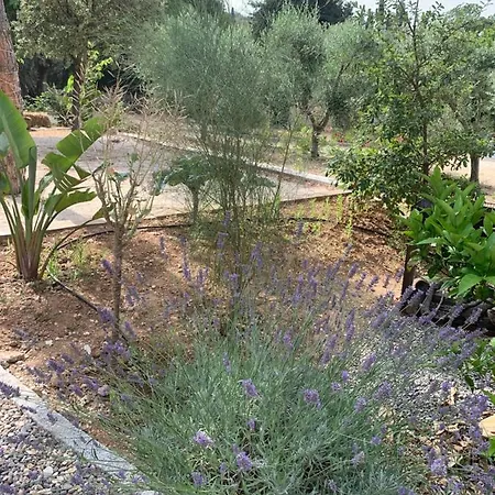 Hébergement de vacances Cabanon *