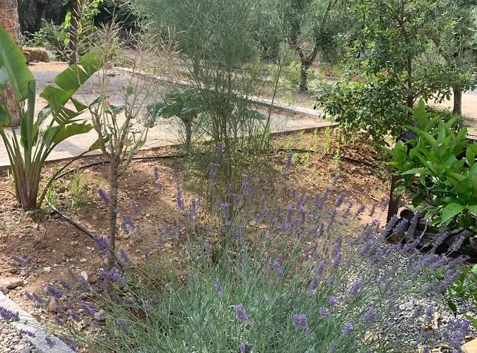 بيت للعطل Cabanon *