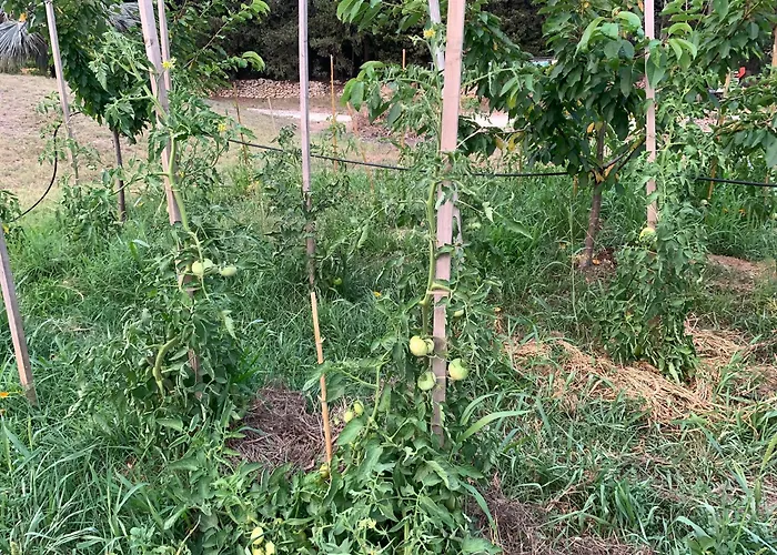 بيت للعطل Cabanon ساناري سور مير